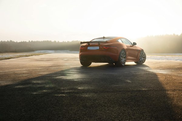 Unverfälschtes Rezept für schwedischen Glögg: So gelingt Ihr köstlicher Weihnachtsgewürzwein perfekt!